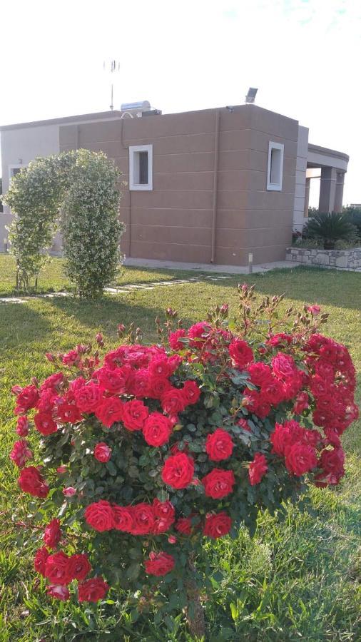 Kos Villa - Family Comfort With Large Garden, Jacuzzi Экстерьер фото